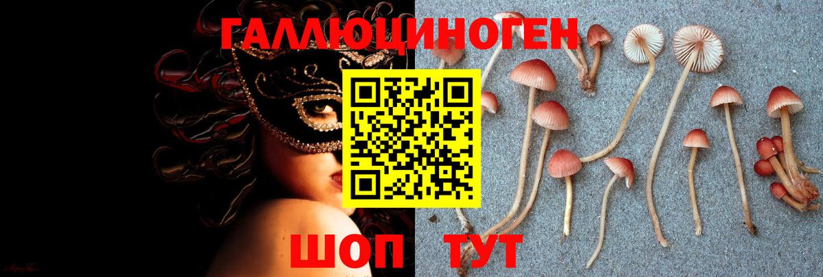 Псилоцибиновые грибы мицелий Санкт-Петербург